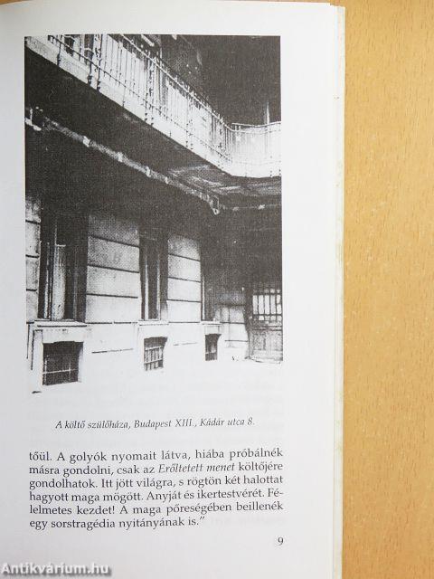 Radnóti Miklós