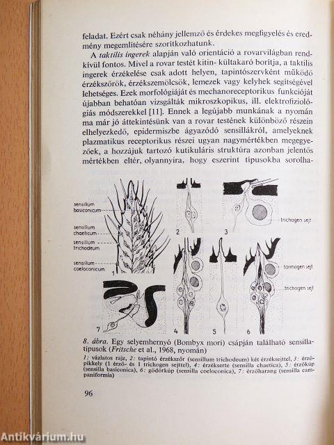 A biológia aktuális problémái 12.