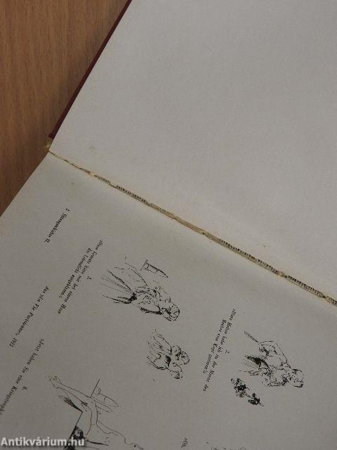 Sittengeschichte des Weltkrieges II.