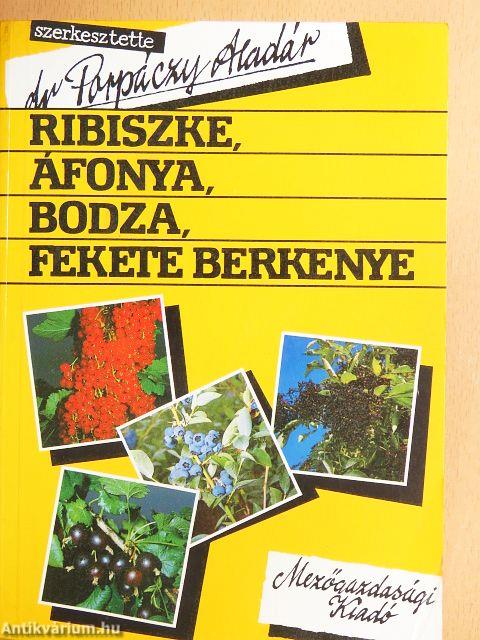 Ribiszke, áfonya, bodza, fekete berkenye