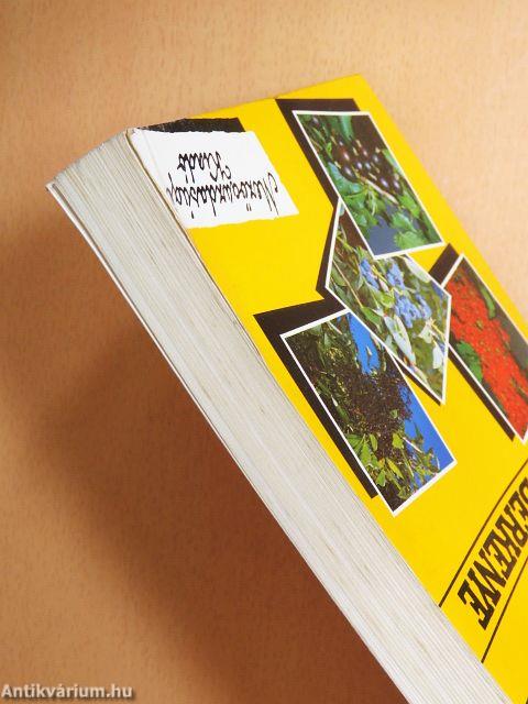 Ribiszke, áfonya, bodza, fekete berkenye