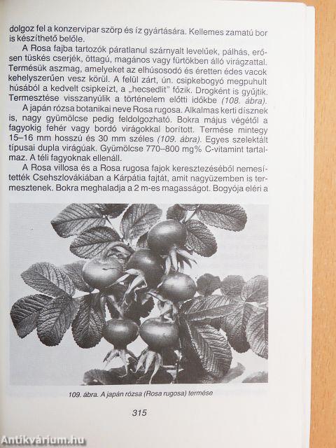 Ribiszke, áfonya, bodza, fekete berkenye