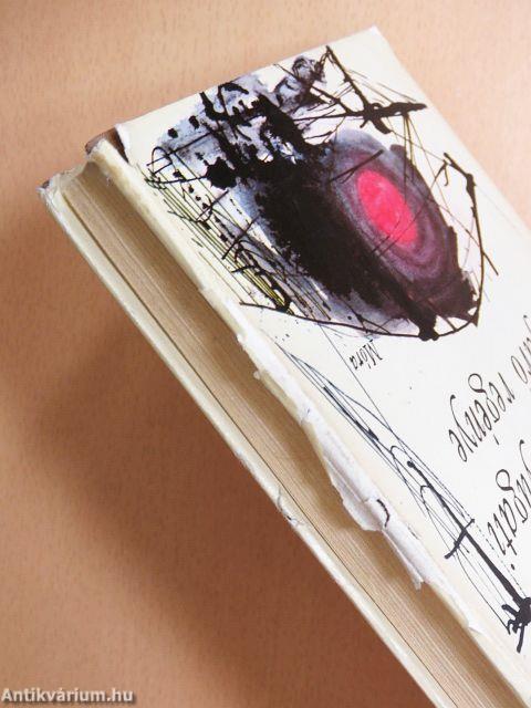 Az északnyugati átjáró regénye