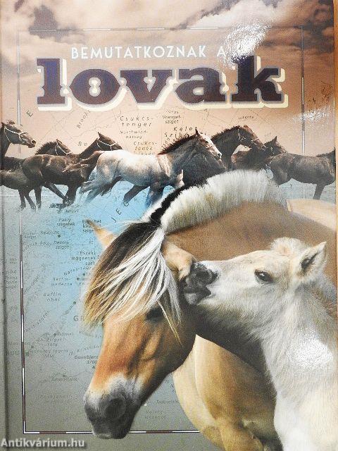 Bemutatkoznak a lovak