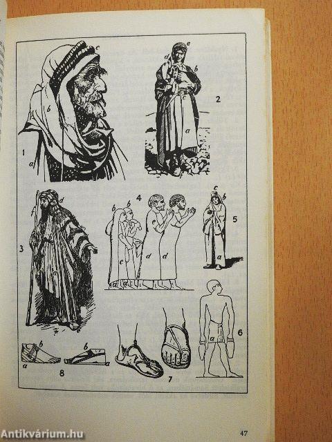 A Biblia világa képekben
