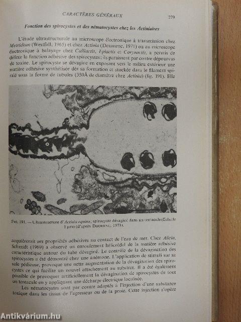Traité de Zoologie III.