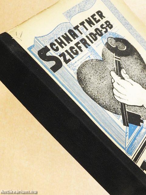 Tanárszem, diáksziv...