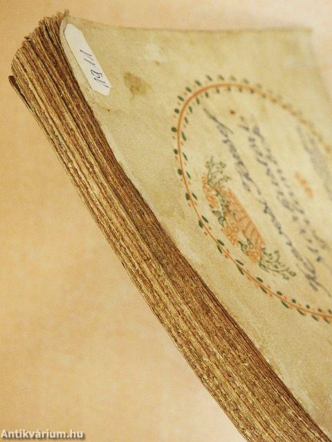 Márkustéri galambok