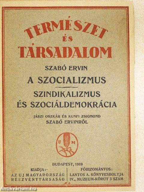 A szocializmus/Szindikalizmus és szociáldemokrácia
