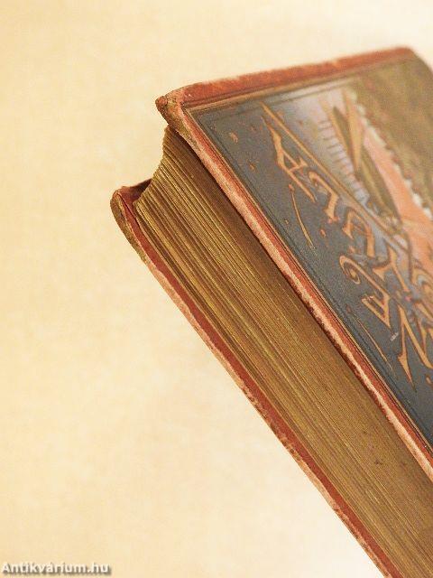 Tizenötéves kapitány