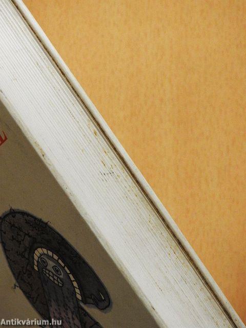 Időm Gombrowiczcsal