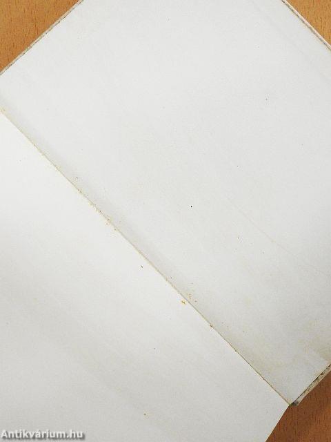 Időm Gombrowiczcsal