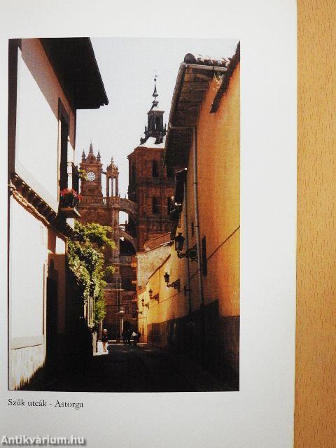 Pamplonától Santiagóig