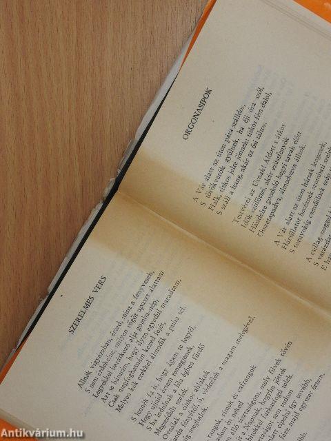 A legszebb éneket kerestem