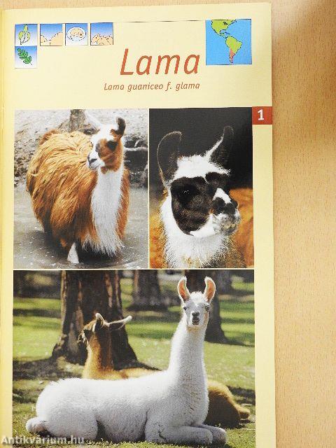 Safaripark Gänserndorf