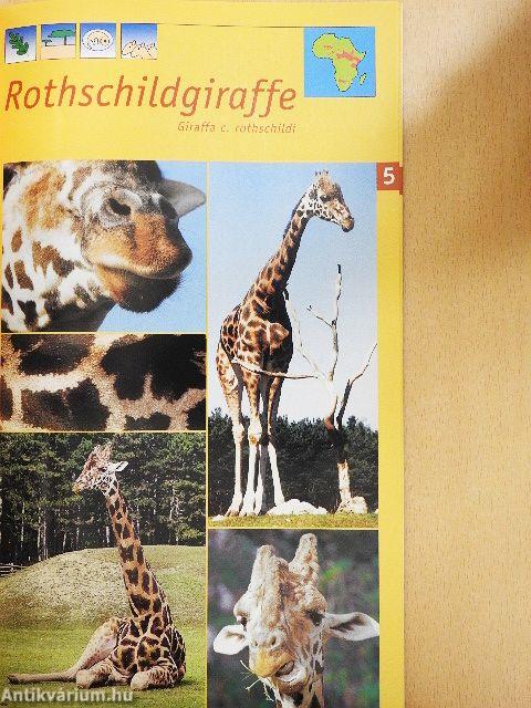 Safaripark Gänserndorf