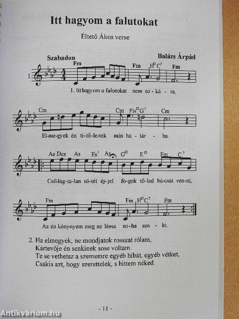 Rácsos kapu, rácsos ablak