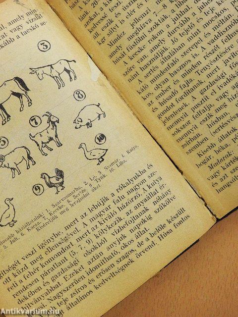 Cserkészkönyv (rossz állapotú)