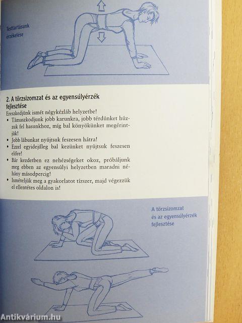 A számítógép: korunk kínzókamrája (?)