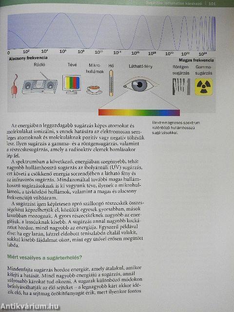 Hogyan győzzük le a rákot?