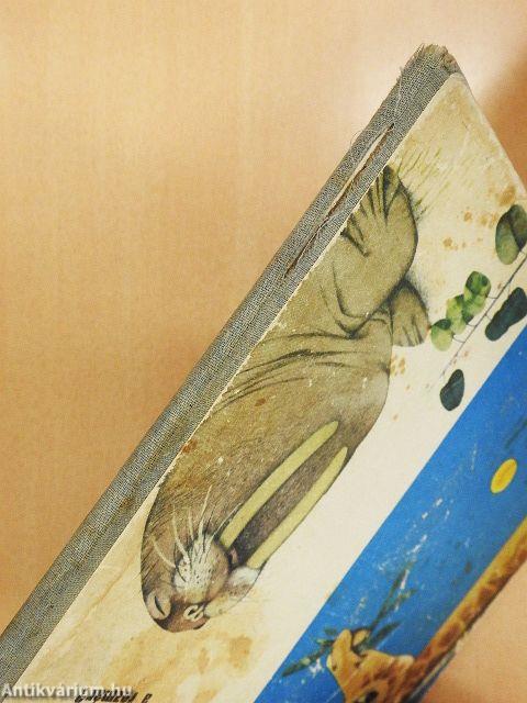 Miről álmodik a rozmár?