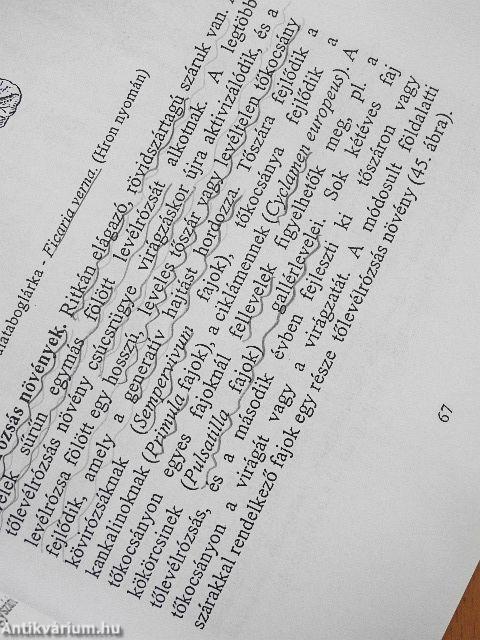 A magvas növények életmenete és alaktana