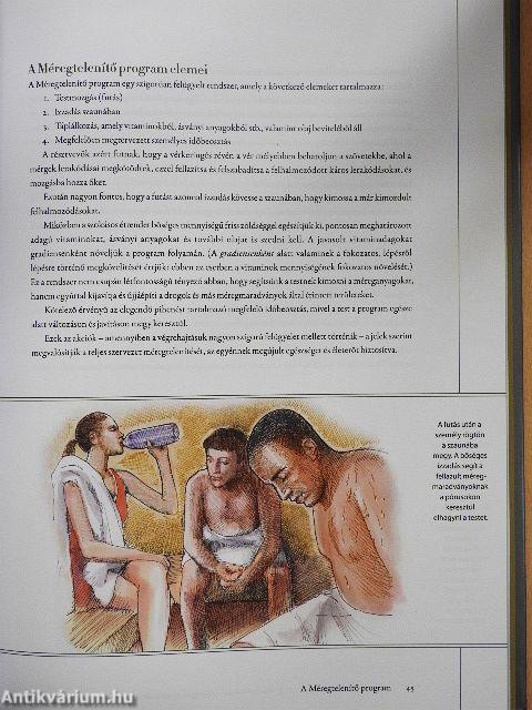 Humanitárius - A drogok sújtotta társadalom rehabilitálása