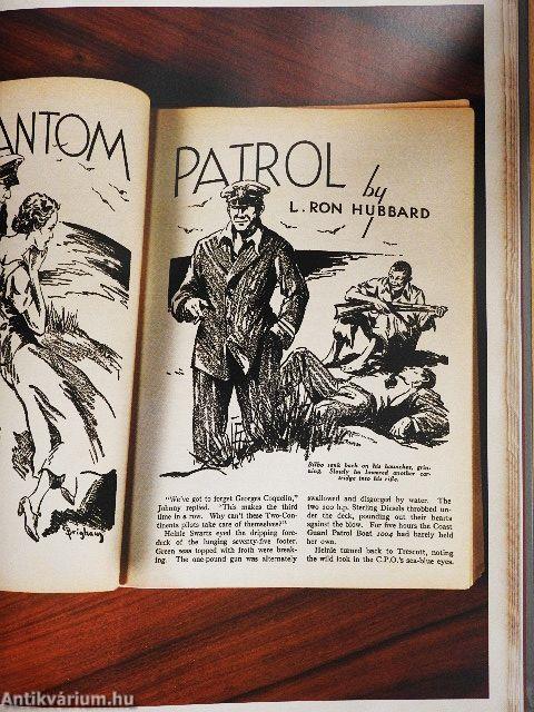 Regényíró - A népszerű irodalom formálása