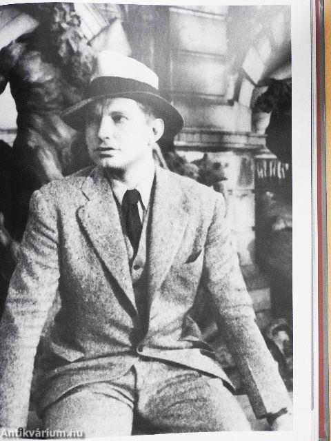 Regényíró - A népszerű irodalom formálása