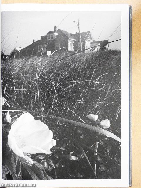 Dianetika - Levelek és naplók