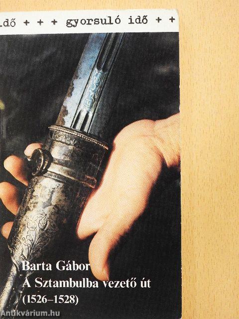 A Sztambulba vezető út (1526-1528)