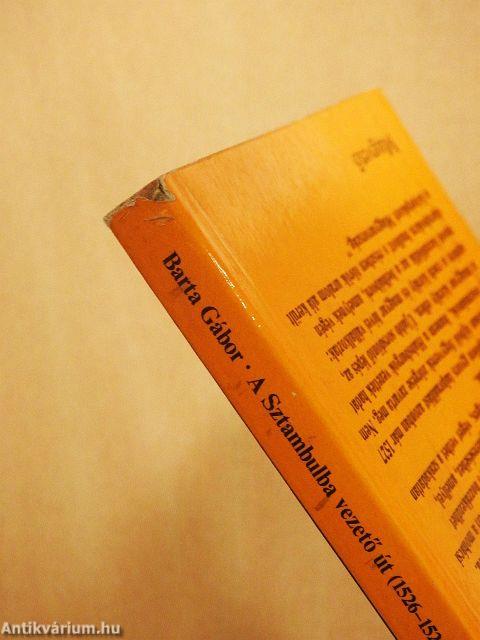 A Sztambulba vezető út (1526-1528)