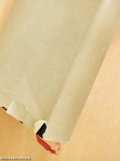 Visszapillantó tükör