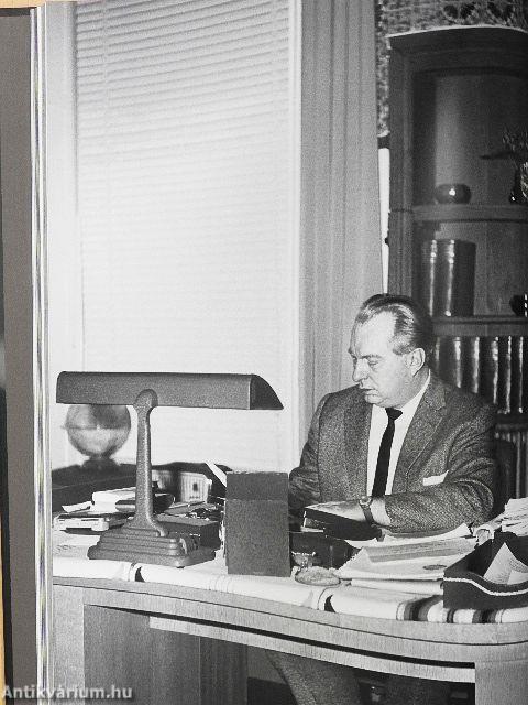 Szabadságharcos - Cikkek és esszék