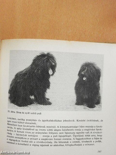 A kutya tenyésztése, tartása, kiképzése