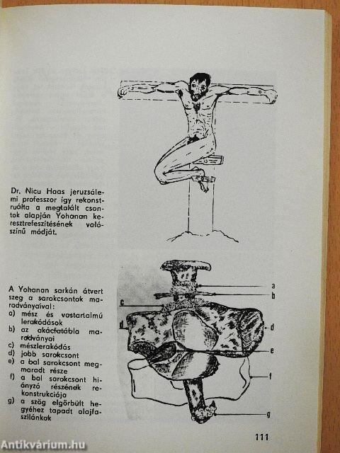 A torinói halotti lepel