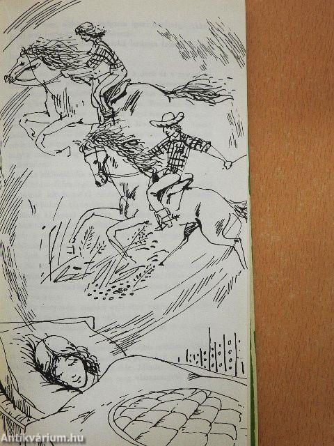 Margot királyné gobelinjei