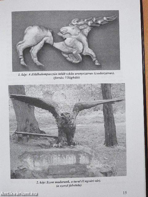 Tudnom kell, mert magyar vagyok!