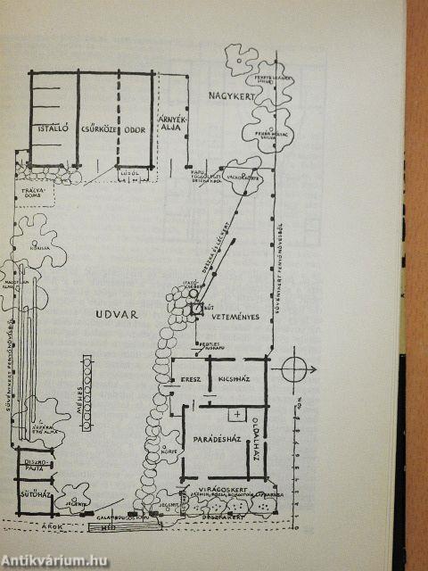 Kászoni székely népművészet