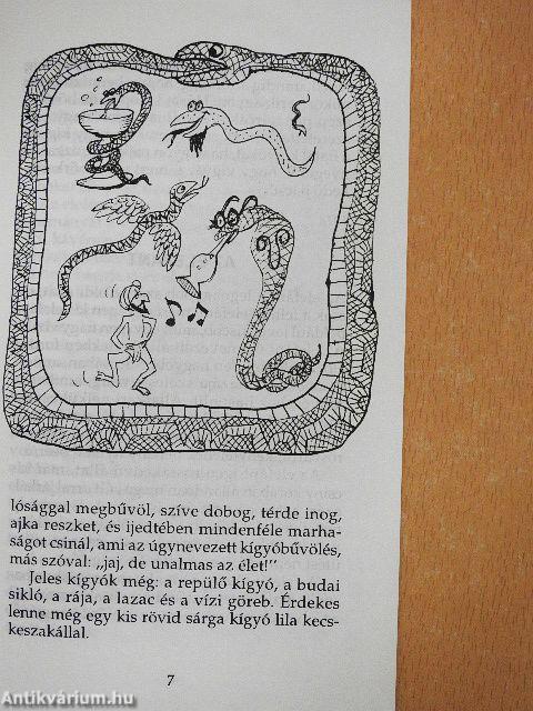 Képtelen természetrajz