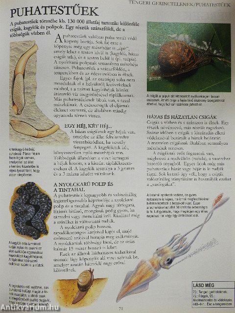 Novum - A tudás enciklopédiája