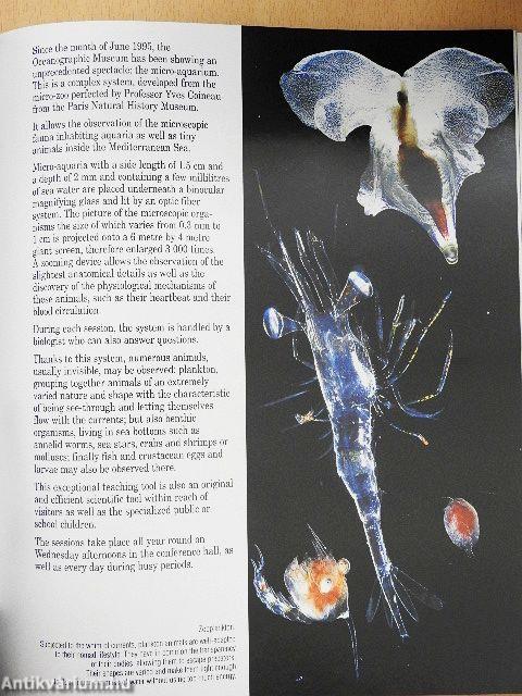 Guide to the Oceanographic Museum Monaco