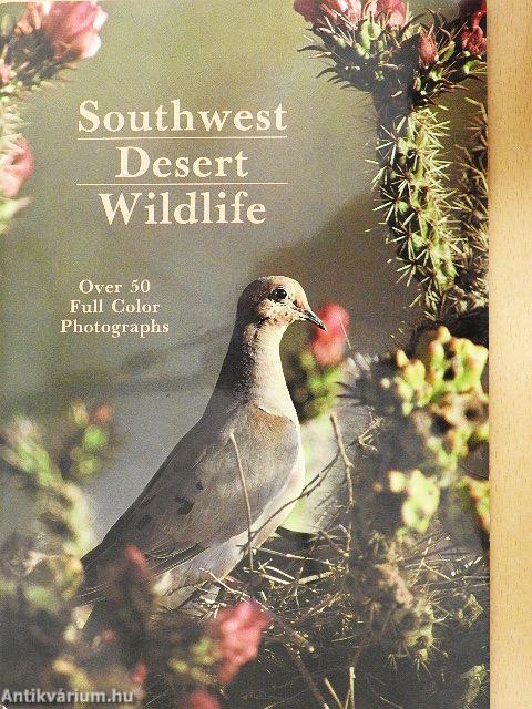 Southwest Desert Wildlife