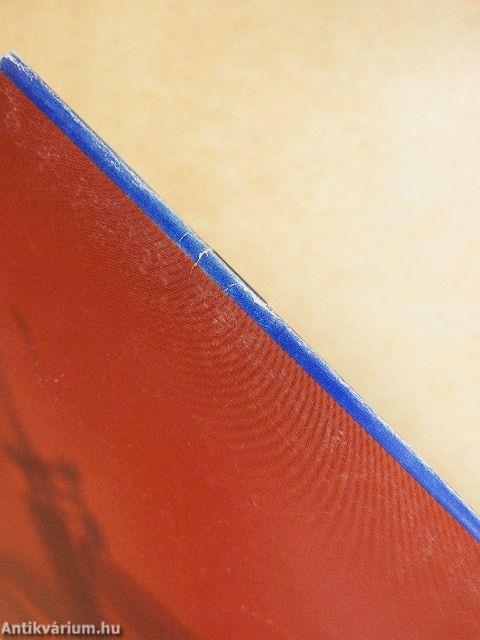 Arányok és irányok