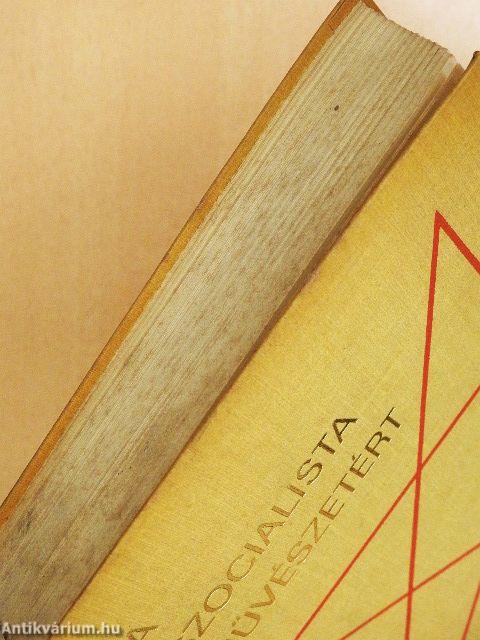 A szocialista művészetért!