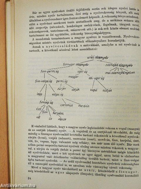A magyar nyelv története