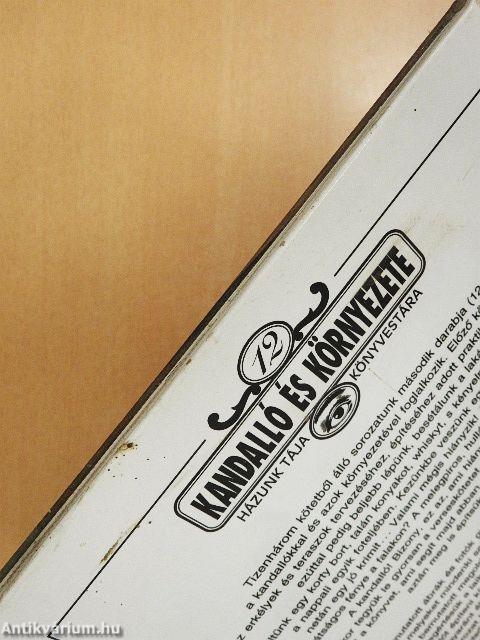 Kandalló és környezete