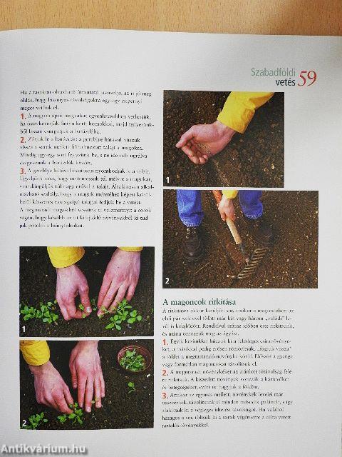 A kertészkedés alapjai