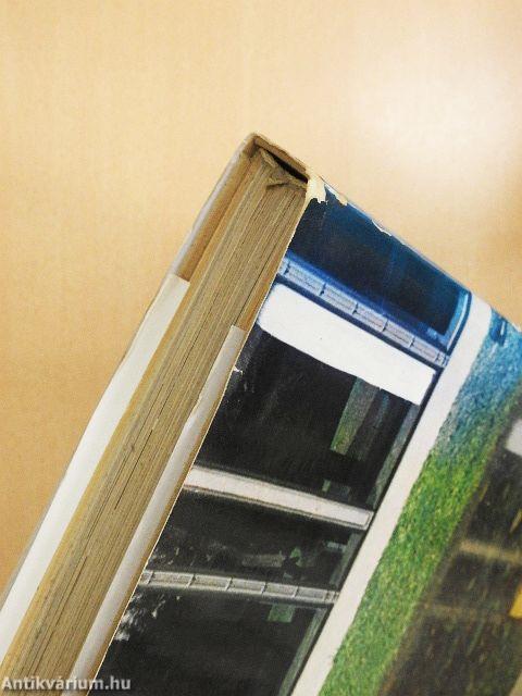 Korunk építészete