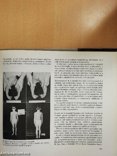 Az ortopédia tankönyve